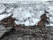 کشف تله ۱۵۰۰ ساله شکار گوزن شمالی در یخ‌های نروژ