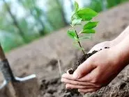 آغاز طرح ملی کاشت یک میلیارد درخت با مشارکت مردمی