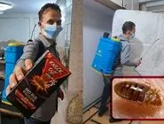 سم ساس از کجا بخریم؟ + معرفی قوی ترین سم ساس کش