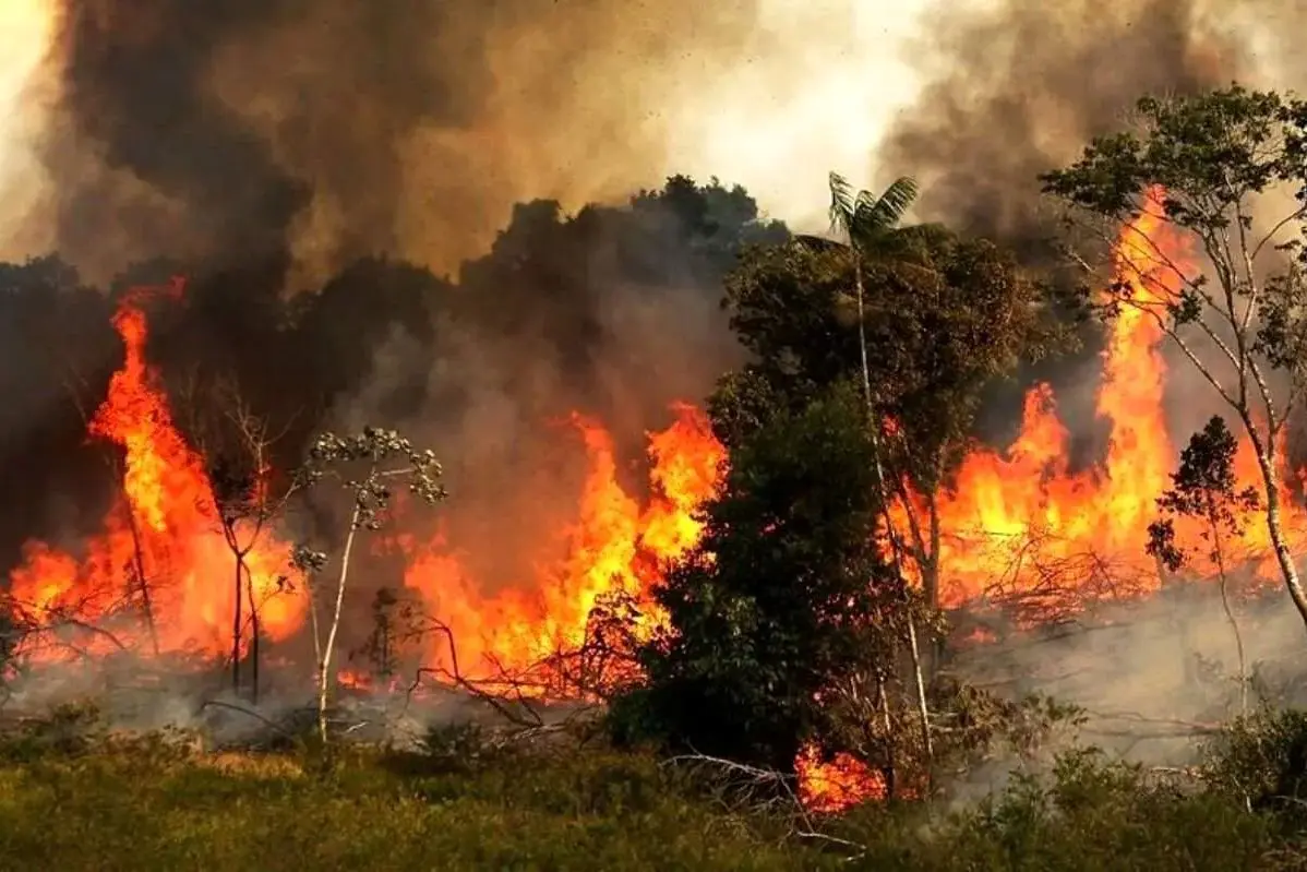 ادامه آتش‌سوزی در جنگل‌های «الیت»