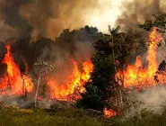 ادامه آتش‌سوزی در جنگل‌های «الیت»