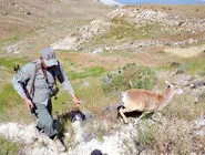بررسی وضعیت محیط‌بانان در سال گذشته/مرگ ۱۴۰ محیط بان در ۳۷ کشور جهان