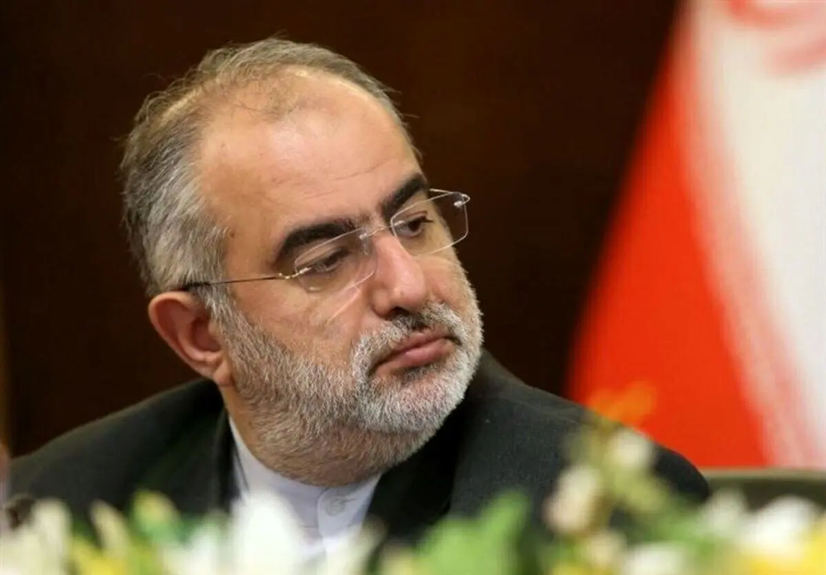 حسامالدین آشنا: شکافهای اجتکاعی، تجربه سیاستگذاریها بوده است