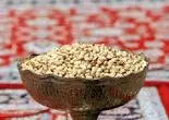 سیر نزولی صادرات پسته دستخوش چه تحولاتی شد؟/ راه‌حل چیست؟