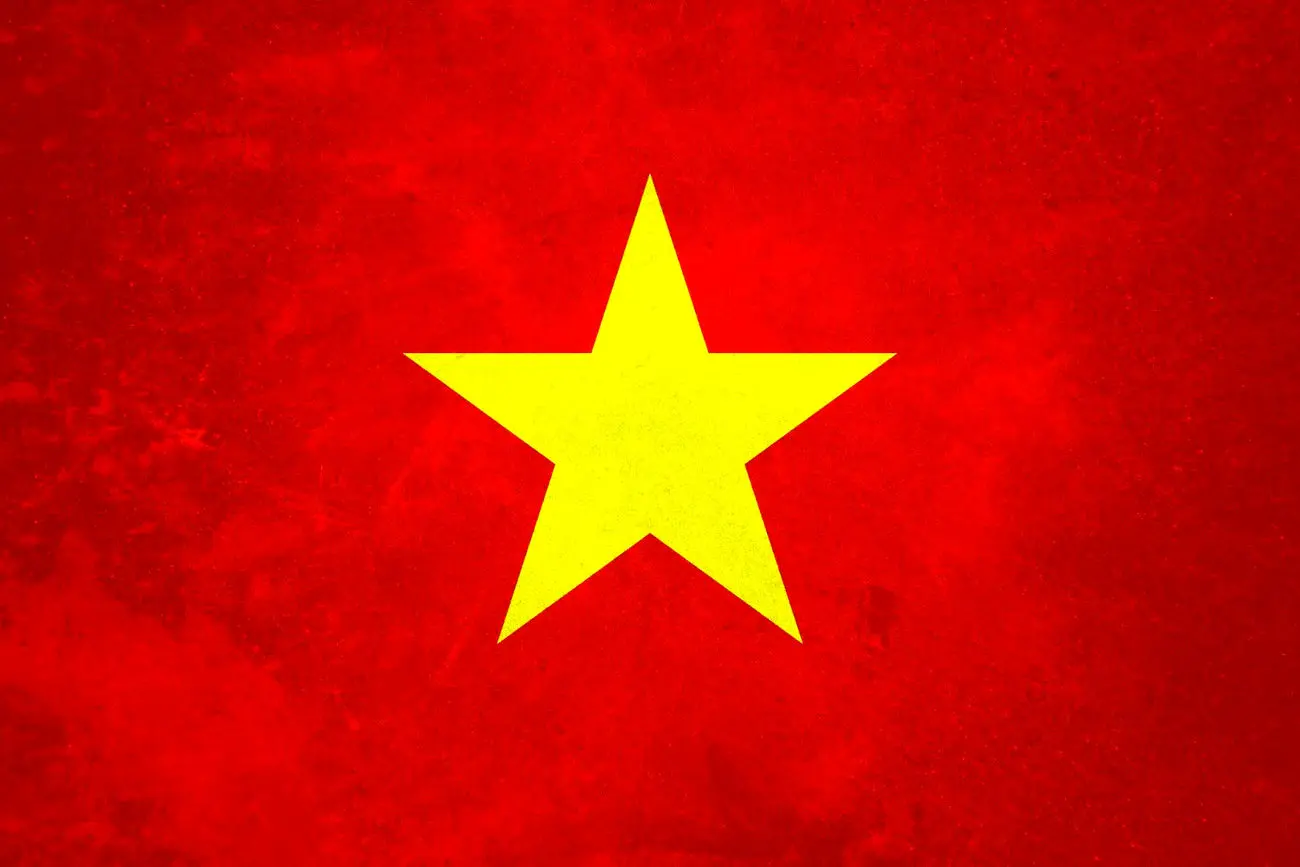 اتحاد دو ویتنام