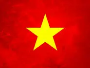 اتحاد دو ویتنام