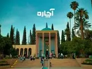 آچاره در شیراز ۳ هزار متخصص دارد
