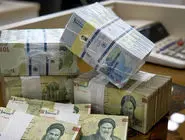 بودجه دولتی بدون نظارت تزریق می‌شود / مدیریت در دام زیان