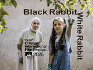 ترافیک ایران در اسکار/با اعلام حضور فیلمی از شهرام مکری در مشهورترین جایزه سینمایی جهان حضور کارگردانان ایرانی در این فستیوال به چهار نفر رسید