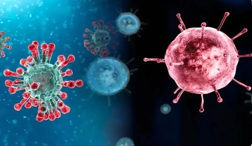 پنجمین مرگ قطعی ناشی از آنفلوآنزا ثبت شد
