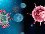 پنجمین مرگ قطعی ناشی از آنفلوآنزا ثبت شد
