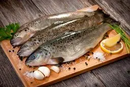 پژوهشی جالب درباره ارزش غذایی ماهی‌ها؛ کدام ماهی‌ها ضرر بیشتری دارند؟