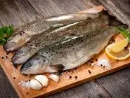 پژوهشی جالب درباره ارزش غذایی ماهی‌ها؛ کدام ماهی‌ها ضرر بیشتری دارند؟
