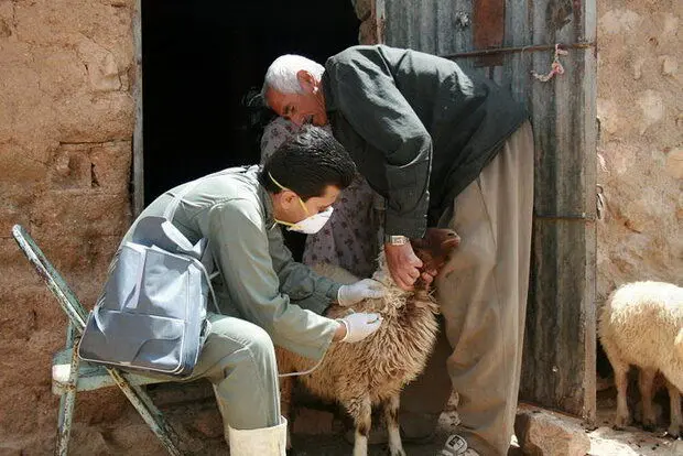 خدمات واکسیناسیون در مناطق روستایی و عشایری رایگان است